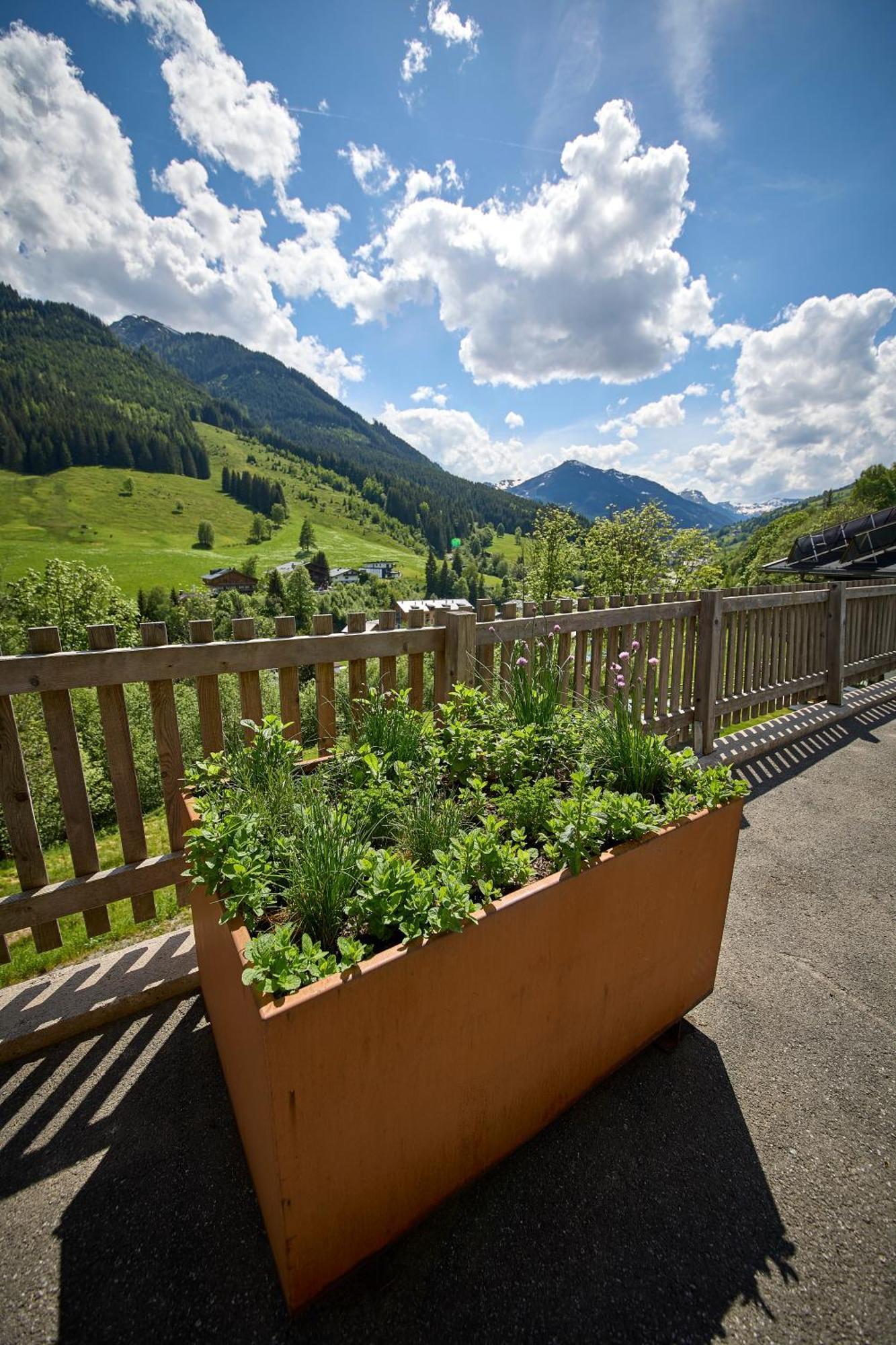 Drei Hittn Saalbach Leilighet Eksteriør bilde